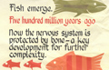 Fish emerge. Five hundred millions years ago: Now the nervous system is protected by bone - a key development for further complexity.