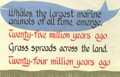 Whales, the largest marine animals of all time, emerge. Twenty-five million years ago. Grass spreads across the land. Twenty-four million years ago.