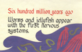 Six hundred million years ago: Worms and jellyfish appear wih the first nervous systems.